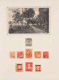 Lot 3139