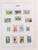 Kavel 1111 (81)
