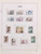 Kavel 1111 (169)