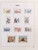 Kavel 1111 (200)