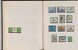 Kavel 1241 (101)