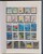 Kavel 1241 (342)
