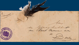 Lot 3026