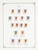 Kavel 1522 (562)