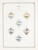 Kavel 1522 (1340)