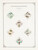 Kavel 1522 (1376)