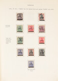 Lot 1135