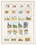 Kavel 1165 (44)