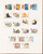 Kavel 1165 (92)