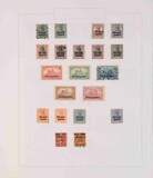 Lot 1137