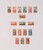 Kavel 1137 (21)