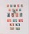 Kavel 1137 (37)