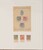 Kavel 1137 (89)