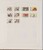 Kavel 1137 (128)