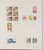 Kavel 1137 (135)