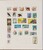 Kavel 1137 (146)