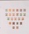 Kavel 1137 (229)