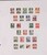 Kavel 1137 (265)