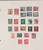 Kavel 1137 (293)