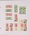 Kavel 1137 (321)