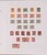 Kavel 1137 (354)