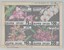 Kavel 1571 (20)