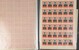 Kavel 1571 (44)