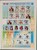 Kavel 1571 (49)