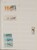 Kavel 1571 (184)