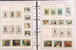 Kavel 1113 (15)