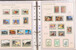 Kavel 1113 (17)