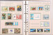 Kavel 1113 (45)