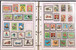 Kavel 1113 (81)