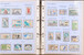 Kavel 1113 (153)