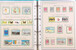 Kavel 1113 (200)