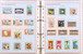 Kavel 1113 (272)