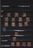 Lot 1173