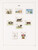 Kavel 1193 (61)