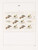 Kavel 1193 (65)
