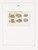 Kavel 1193 (77)