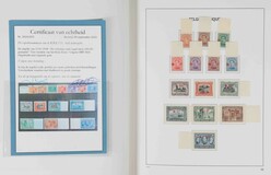 Lot 1107