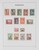 Lot 1107 (19)