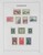 Lot 1107 (22)