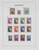 Lot 1107 (31)