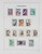 Lot 1107 (99)