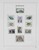 Lot 1107 (111)