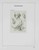 Lot 1107 (125)