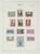 Lot 1108 (6)