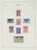 Lot 1108 (62)