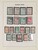 Lot 1111 (11)